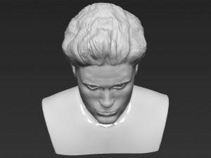edward cullen twilight robert pattinson bust 3d printing ready Modello di stampa 3D