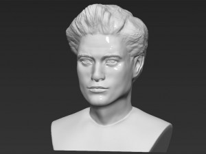 edward cullen twilight robert pattinson bust 3d printing ready Modello di stampa 3D