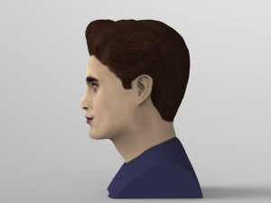 edward cullen twilight pattinson bust full color 3d printing 3D 프린트 모델