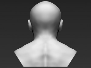 floyd mayweather bust 3d printing ready stl obj 3Dプリントモデル