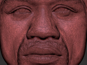 floyd mayweather bust 3d printing ready stl obj 3Dプリントモデル