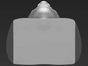 jay-z bust 3d printing ready stl obj 3D Baskı Modeli