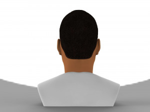 jay-z bust ready for full color 3d printing 3D-Druckmodell
