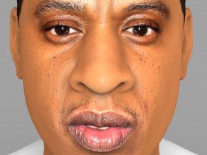 jay-z bust ready for full color 3d printing 3D-Druckmodell