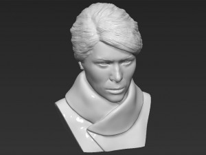melania trump bust ready for full color 3d printing 3D Print Model