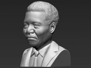nelson mandela bust 3d printing ready stl obj 3Dプリントモデル