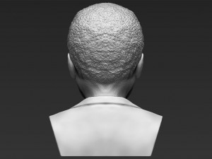 nelson mandela bust 3d printing ready stl obj 3Dプリントモデル