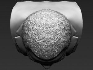 nelson mandela bust 3d printing ready stl obj 3Dプリントモデル