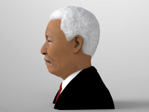 nelson mandela bust ready for full color 3d printing 3D प्रिंट मॉडल