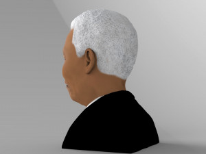 nelson mandela bust ready for full color 3d printing 3D प्रिंट मॉडल
