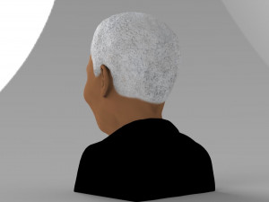 nelson mandela bust ready for full color 3d printing 3D प्रिंट मॉडल