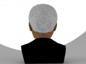nelson mandela bust ready for full color 3d printing 3D प्रिंट मॉडल