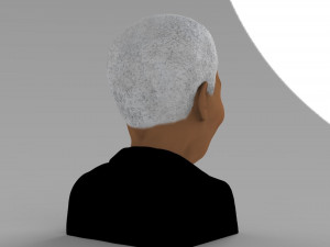 nelson mandela bust ready for full color 3d printing 3D प्रिंट मॉडल