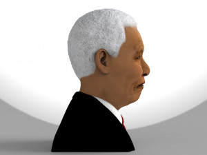 nelson mandela bust ready for full color 3d printing 3D प्रिंट मॉडल