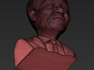 nelson mandela bust ready for full color 3d printing 3D प्रिंट मॉडल