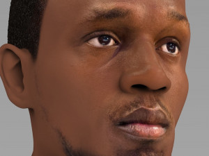usain bolt bust ready for full color 3d printing 3D Print Model