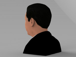 xi jinping bust ready for full color 3d printing 3D 打印模型