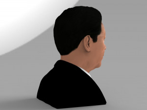 xi jinping bust ready for full color 3d printing 3D 打印模型