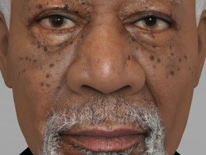 morgan freeman bust ready for full color 3d printing 3D प्रिंट मॉडल