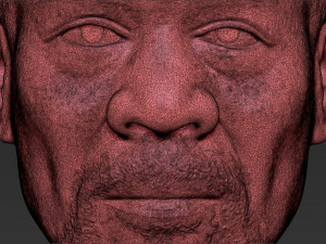 morgan freeman bust ready for full color 3d printing 3D प्रिंट मॉडल