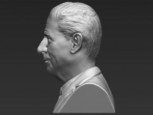 prince charles bust 3d printing ready stl obj Modelo de Impressão 3D