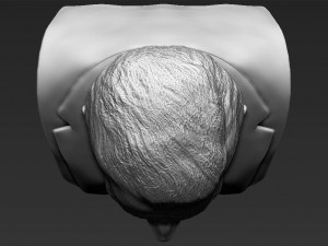 prince charles bust 3d printing ready stl obj Modelo de Impressão 3D