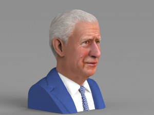 prince charles bust ready for full color 3d printing Modello di stampa 3D