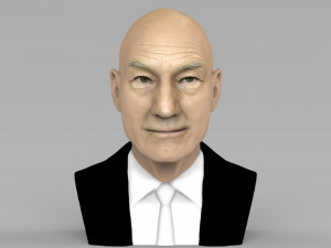 professor x charles xavier bust ready for full color 3d printing 3D 打印模型