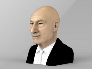 professor x charles xavier bust ready for full color 3d printing 3Dプリントモデル