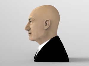 professor x charles xavier bust ready for full color 3d printing 3Dプリントモデル