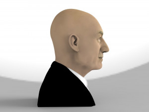 professor x charles xavier bust ready for full color 3d printing 3Dプリントモデル