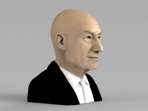 professor x charles xavier bust ready for full color 3d printing 3Dプリントモデル
