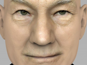 professor x charles xavier bust ready for full color 3d printing 3Dプリントモデル