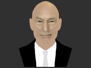 professor x charles xavier bust ready for full color 3d printing 3Dプリントモデル