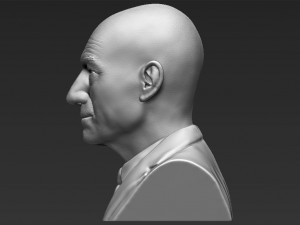 professor x charles xavier bust ready for full color 3d printing 3Dプリントモデル
