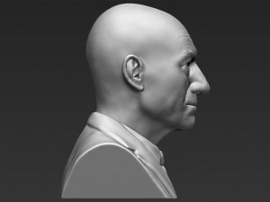professor x charles xavier bust ready for full color 3d printing 3Dプリントモデル