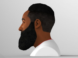 james harden bust ready for full color 3d printing 3D 프린트 모델