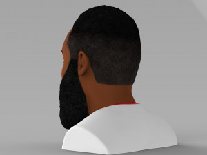 james harden bust ready for full color 3d printing 3D 프린트 모델