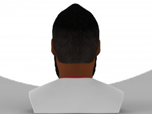 james harden bust ready for full color 3d printing 3D 프린트 모델