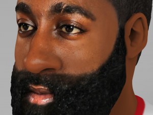 james harden bust ready for full color 3d printing 3D 프린트 모델