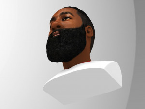 james harden bust ready for full color 3d printing 3D 프린트 모델