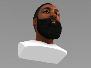 james harden bust ready for full color 3d printing 3D 프린트 모델