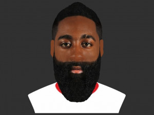 james harden bust ready for full color 3d printing 3D 프린트 모델