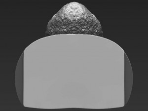 james harden bust ready for full color 3d printing 3D 프린트 모델