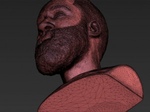 james harden bust ready for full color 3d printing 3D 프린트 모델