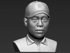 tiger woods bust 3d printing ready stl obj 3D 打印模型