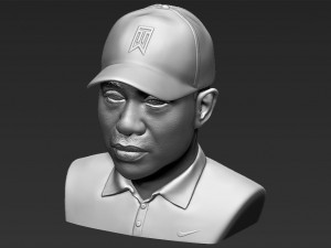 tiger woods bust 3d printing ready stl obj 3D 打印模型