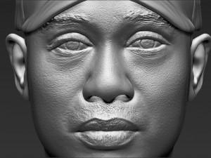 tiger woods bust 3d printing ready stl obj 3D 打印模型