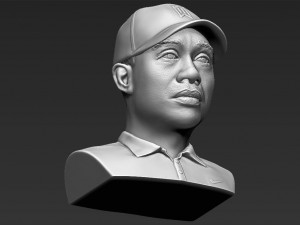 tiger woods bust 3d printing ready stl obj 3D 打印模型