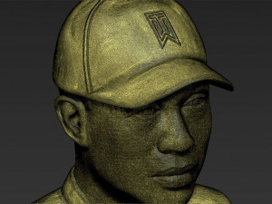 tiger woods bust 3d printing ready stl obj 3D 打印模型
